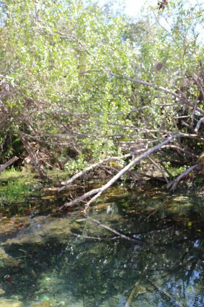 Kambulum Nature Eco-Villas Τουλούμ